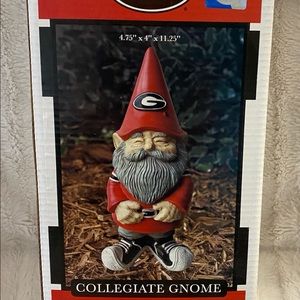 Georgia Nome